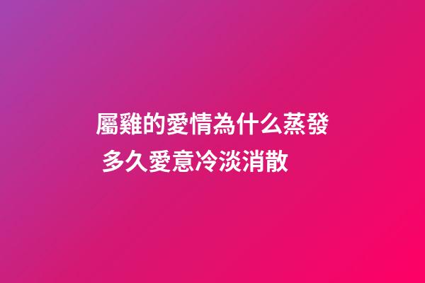 屬雞的愛情為什么蒸發 多久愛意冷淡消散